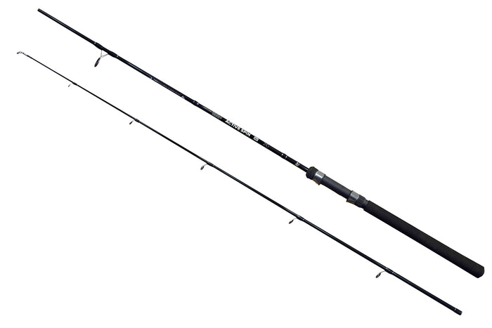 Spinning Rods